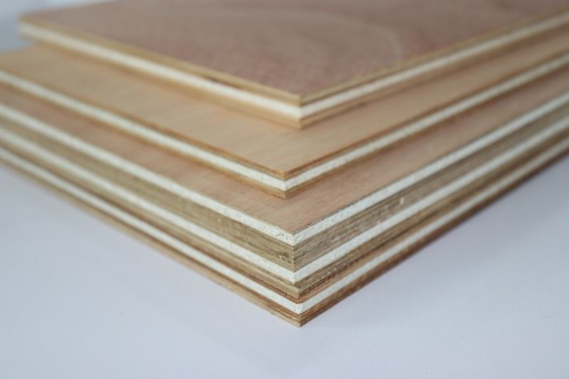 久久综合香蕉国产蜜臀av