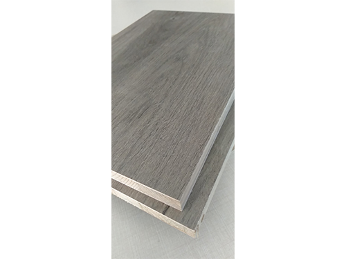 久久综合香蕉国产蜜臀av